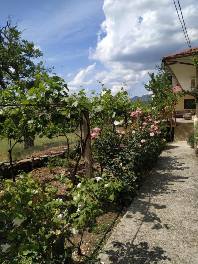 Bujtina Polimen Guest house Permet