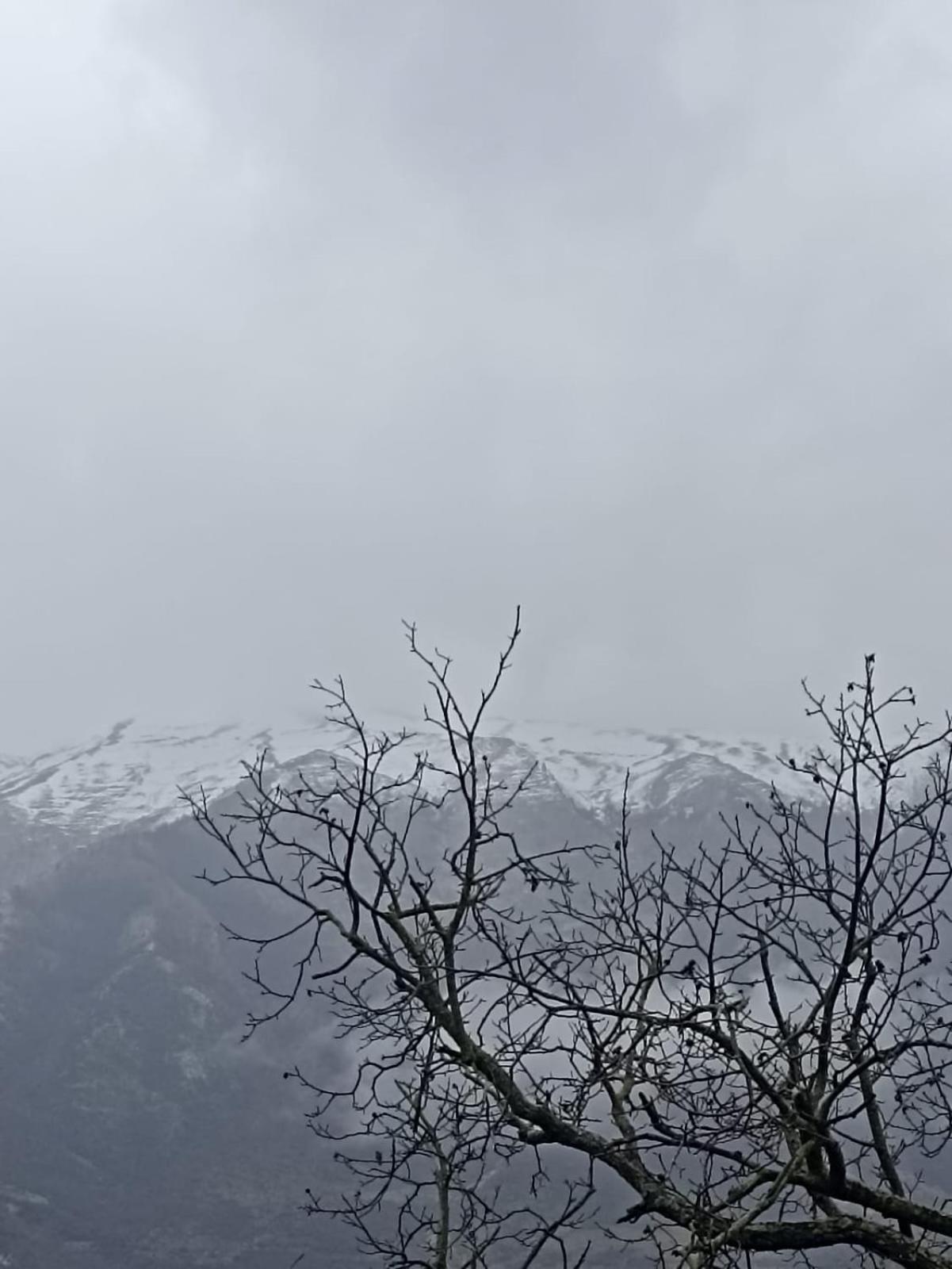 Bujtina Polimen Permet